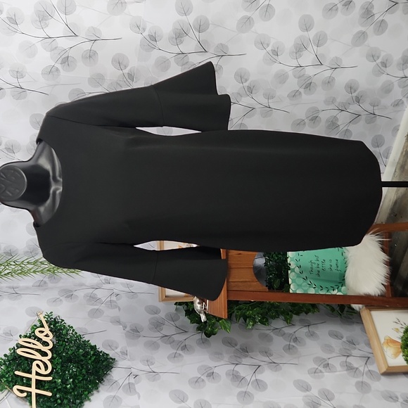 Calvin Klein Bell Sleeve Sheath Dress - Picture 2 of 6
